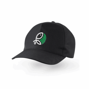 Casquette
